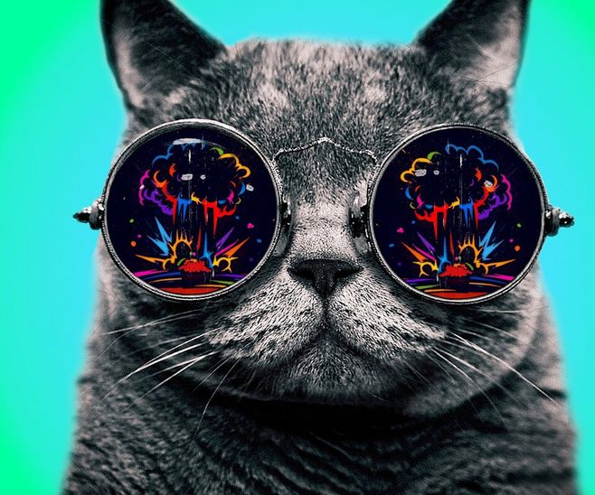 眼镜猫